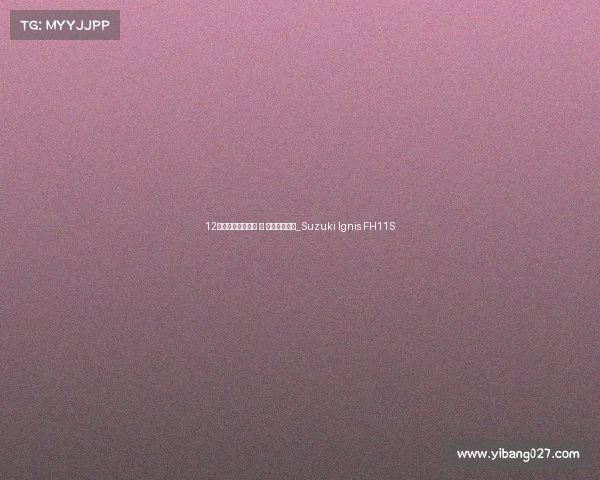 12万元的进口小可爱 丨 铃木英格尼斯_Suzuki Ignis FH11S