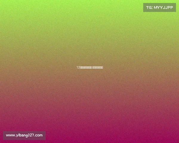 12年老司机点评锋范 时尚省油空间大